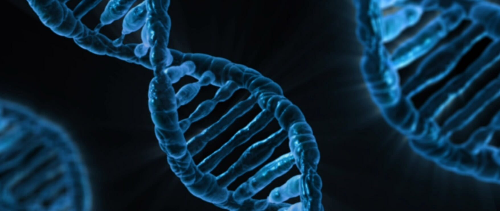 An Introduction to Gene Therapy and Its Applications for Drug Development