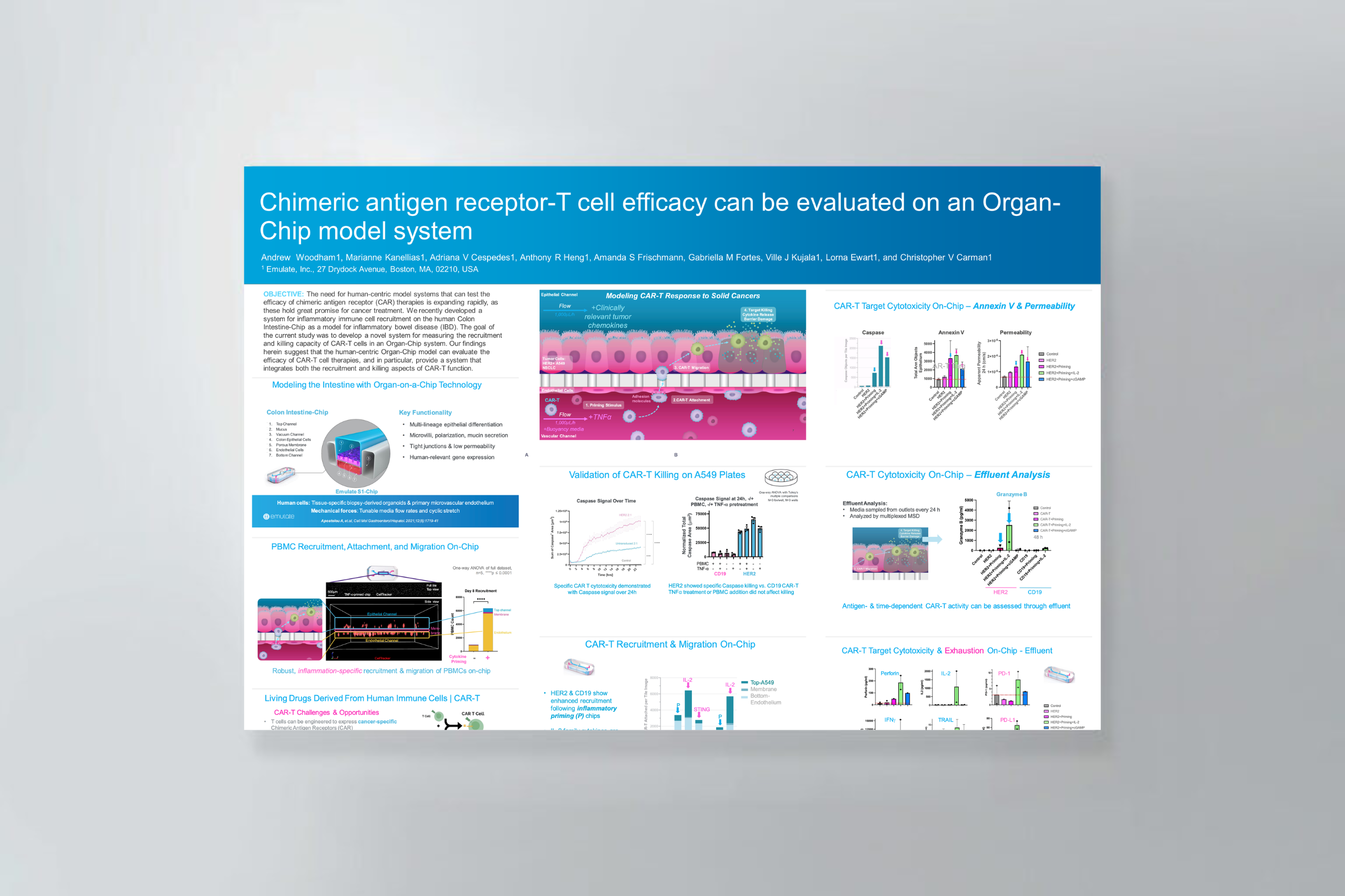 Chimeric antigen receptor-T cell efficacy can be evaluated on an Organ-Chip model system