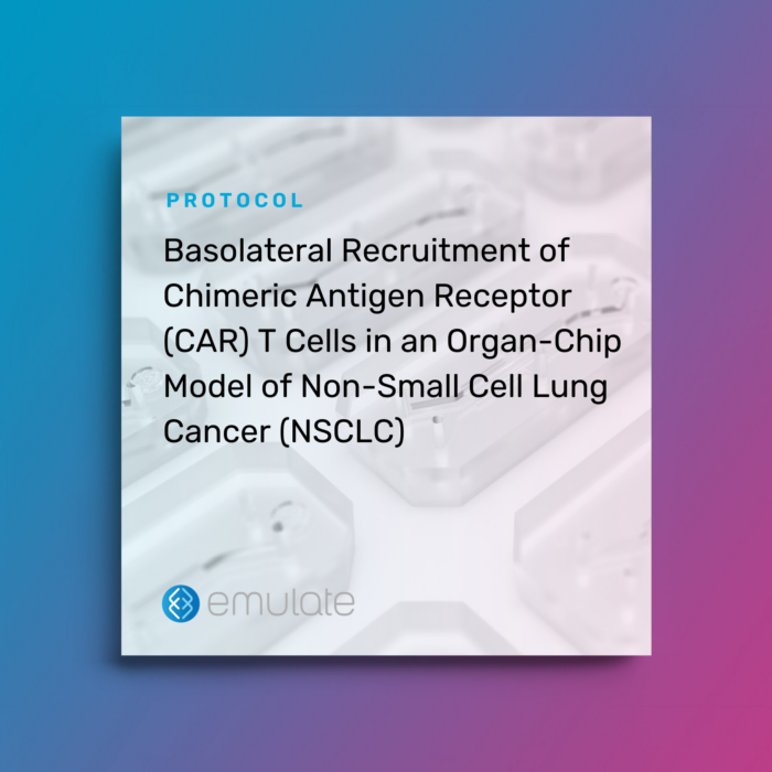 Image for Basolateral Recruitment of Chimeric Antigen Receptor (CAR) T Cells in an Organ-Chip Model of Non-Small Cell Lung Cancer (NSCLC) 