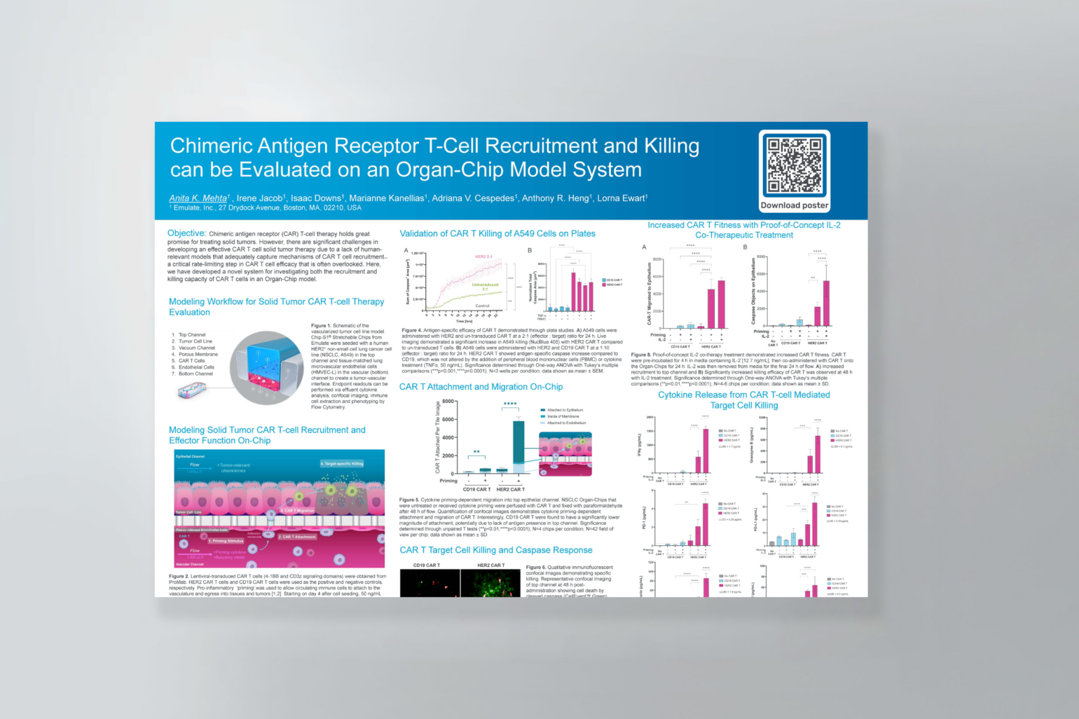 Chimeric Antigen Receptor T-Cell Recruitment and Killing can be ...
