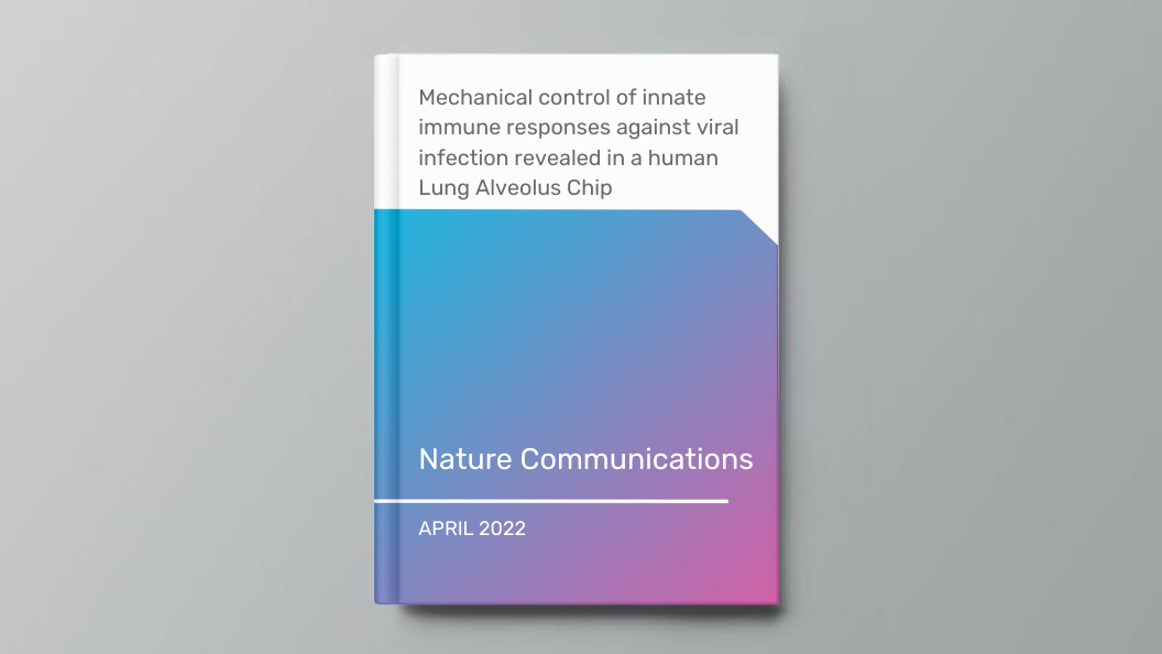 Mechanical control of innate immune responses against viral infection revealed in a human Lung Alveolus-Chip