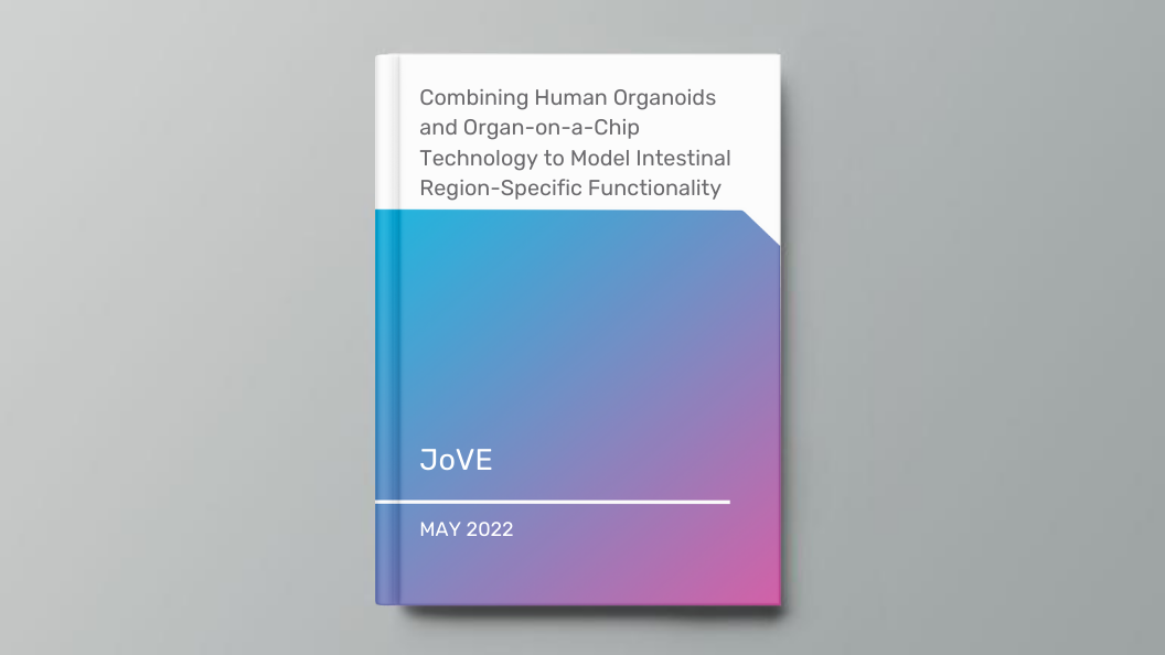 Combining Human Organoids and Organ-on-a-Chip Technology to Model Intestinal Region-Specific Functionality