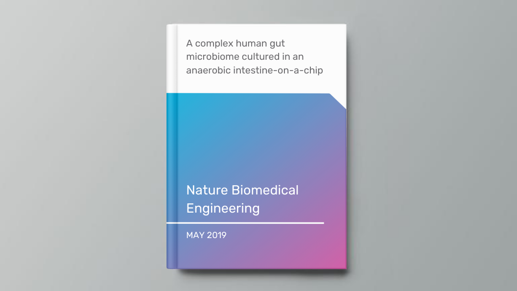 A complex human gut microbiome cultured in an anaerobic intestine-on-a-chip