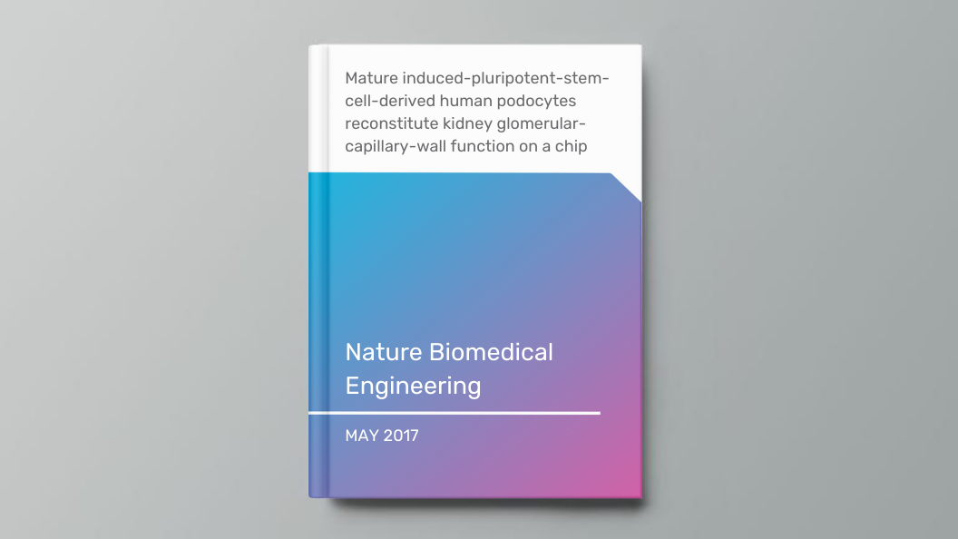 Mature induced-pluripotent-stem-cell-derived human podocytes reconstitute kidney glomerular-capillary-wall function on a chip