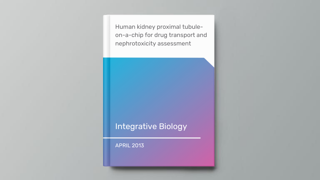 Human kidney proximal tubule-on-a-chip for drug transport and nephrotoxicity assessment