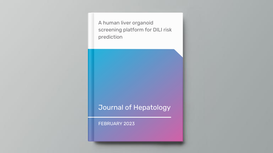 A human liver organoid screening platform for DILI risk prediction