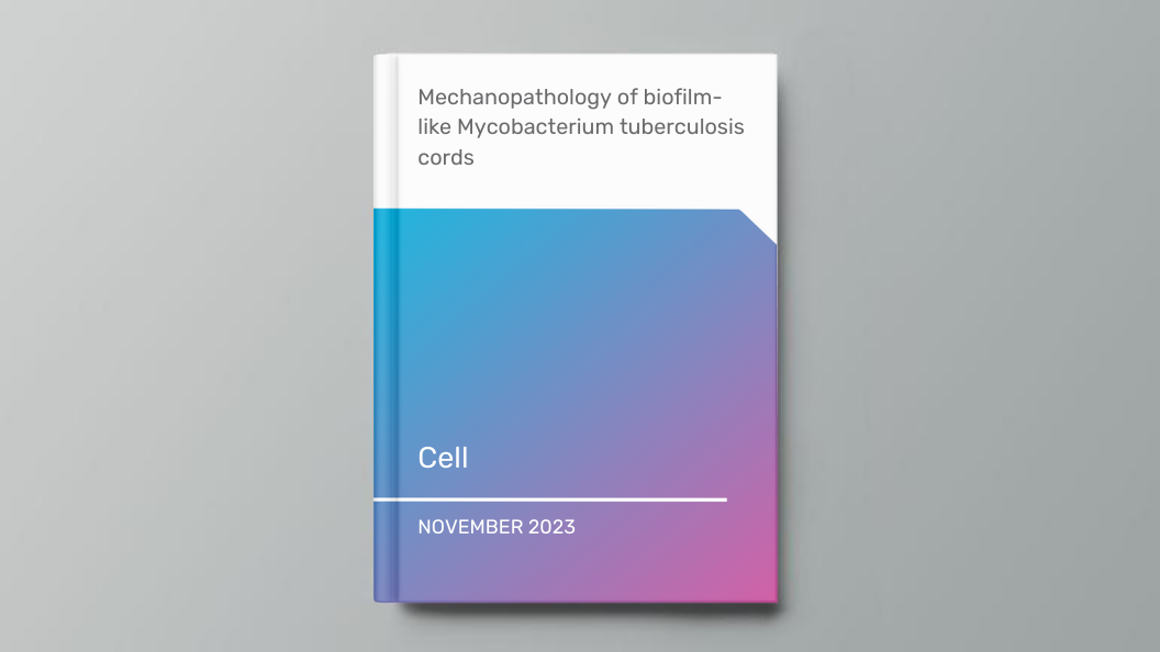 Mechanopathology of biofilm-like Mycobacterium tuberculosis cords