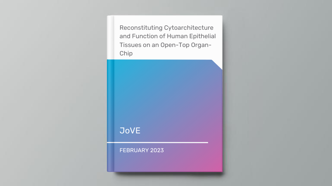 Reconstituting Cytoarchitecture and Function of Human Epithelial Tissues on an Open-Top Organ-Chip