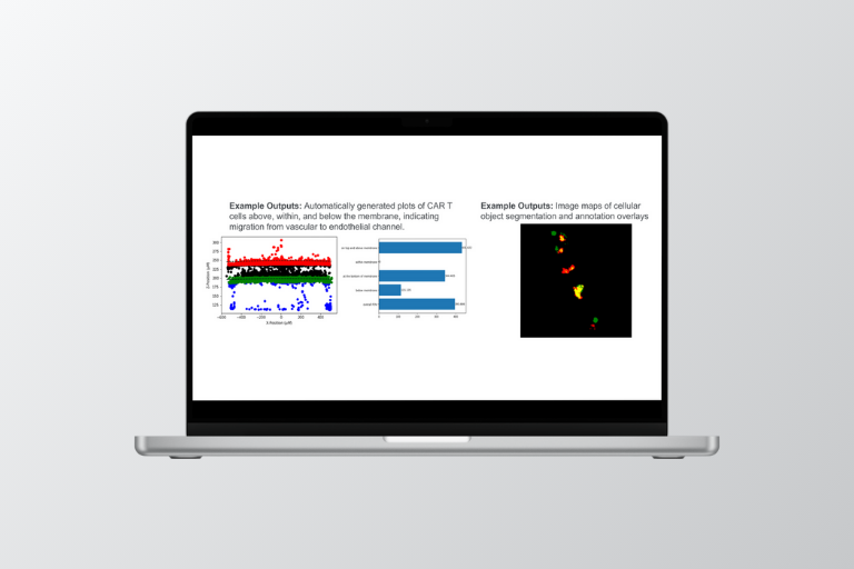 CAR T Image & Data Analysis Tools