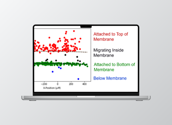 Image for Immune Cell Recruitment Analysis Tool