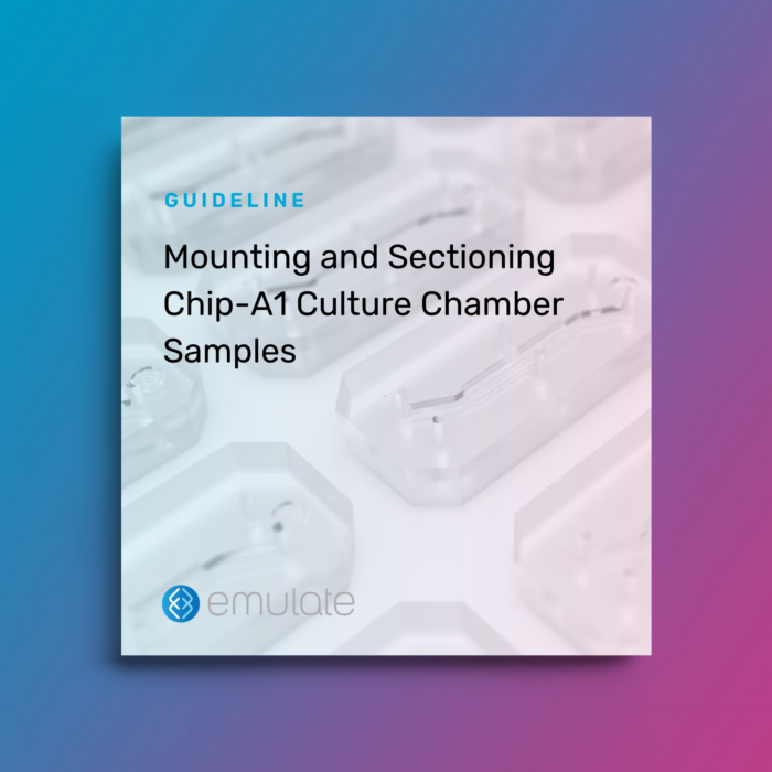 Image for Mounting and Sectioning Chip-A1 Culture Chamber Samples