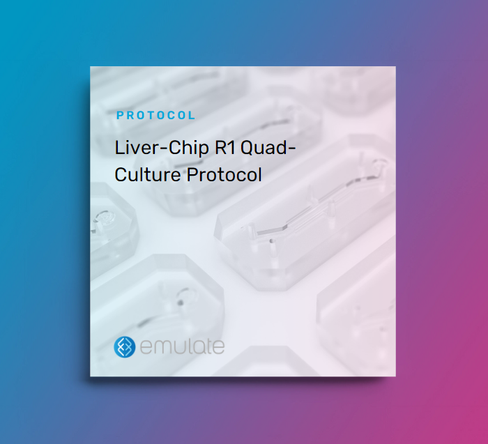 Image for Liver-Chip R1 Quad-Culture Protocol