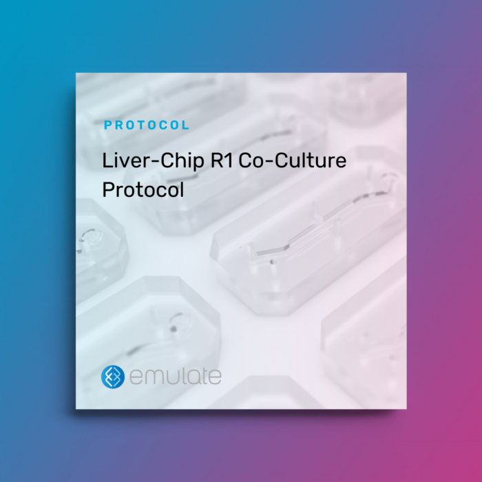 Image for Liver-Chip R1 Co-Culture Protocol