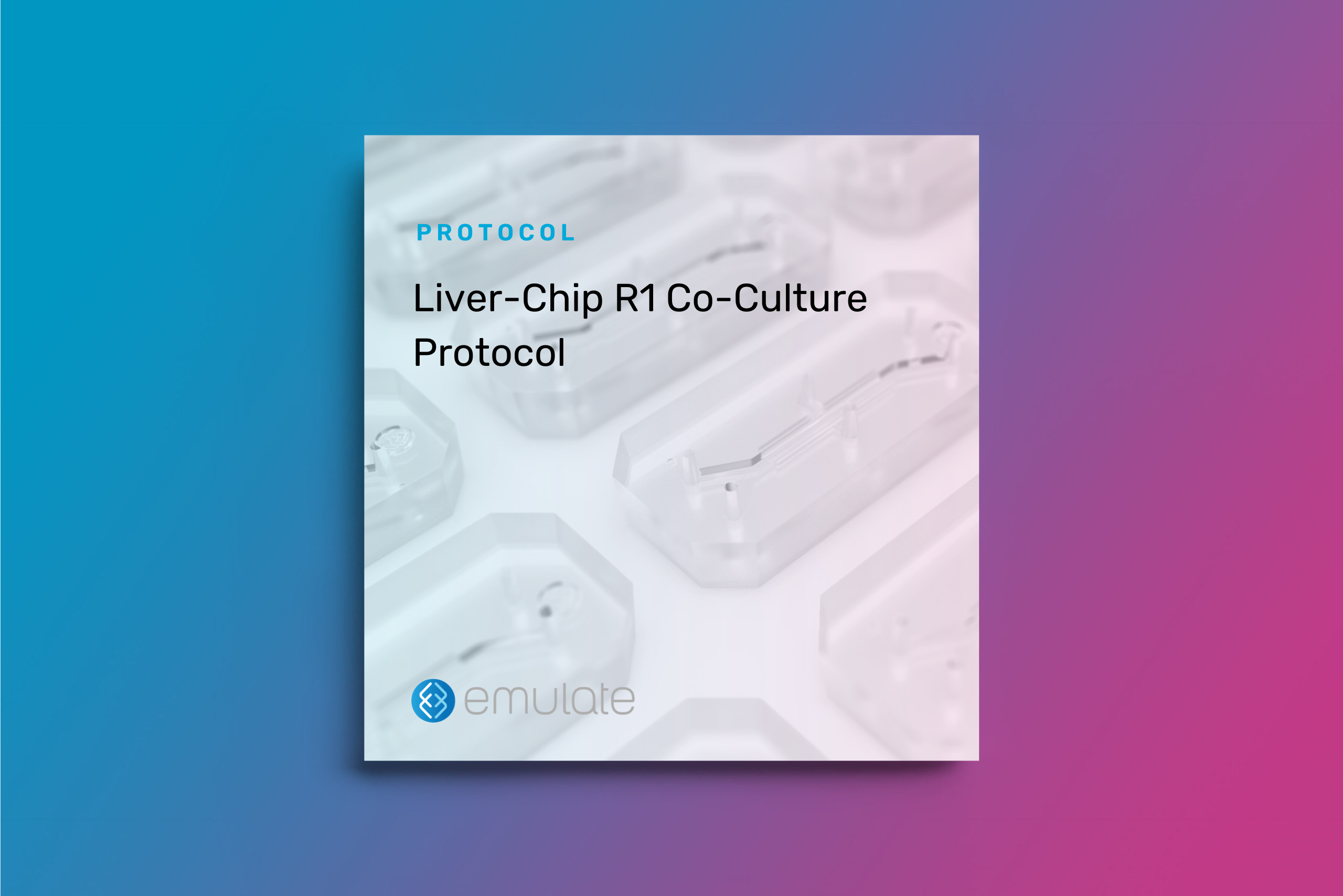Liver-Chip R1 Co-Culture Protocol
