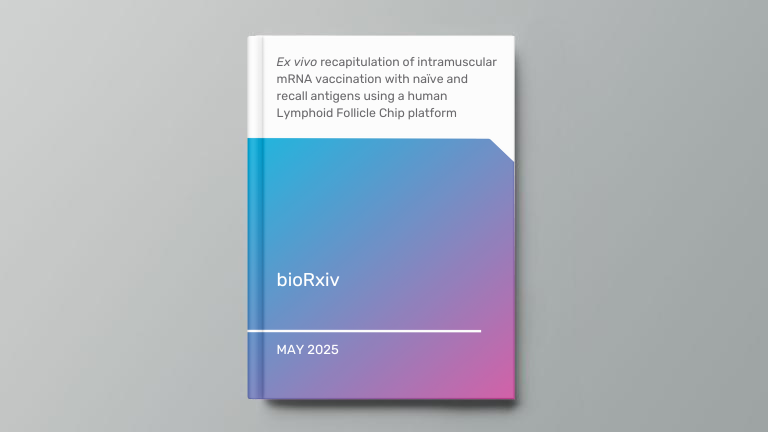 Ex vivo recapitulation of intramuscular mRNA vaccination with naïve and recall antigens using a human Lymphoid Follicle Chip platform