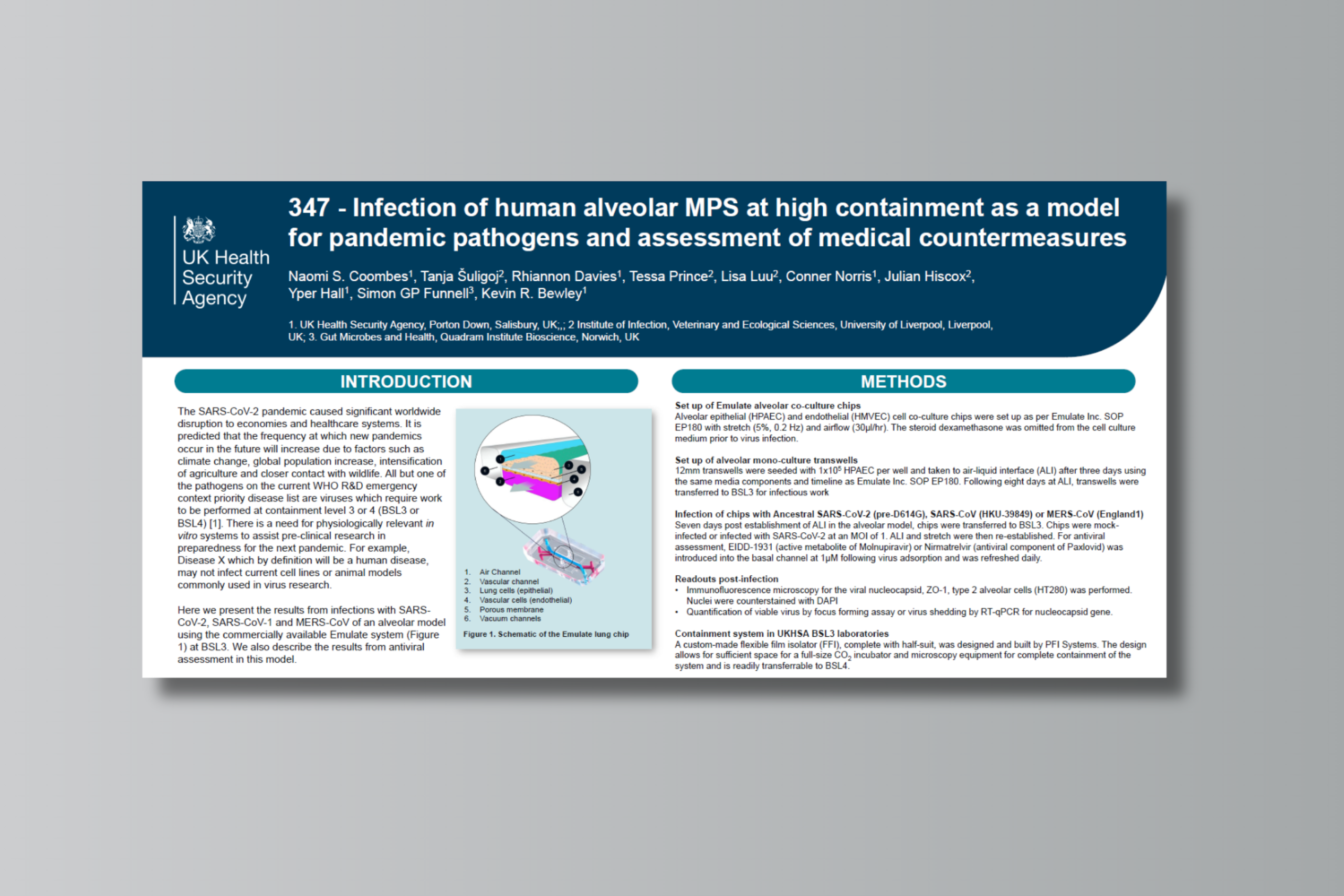 Infection of human alveolar MPS at high containment as a model for pandemic pathogens and assessment of medical countermeasures