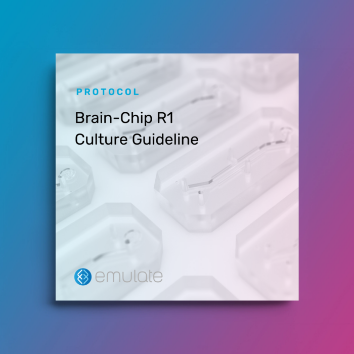 Image for Brain-Chip R1 Culture Guideline