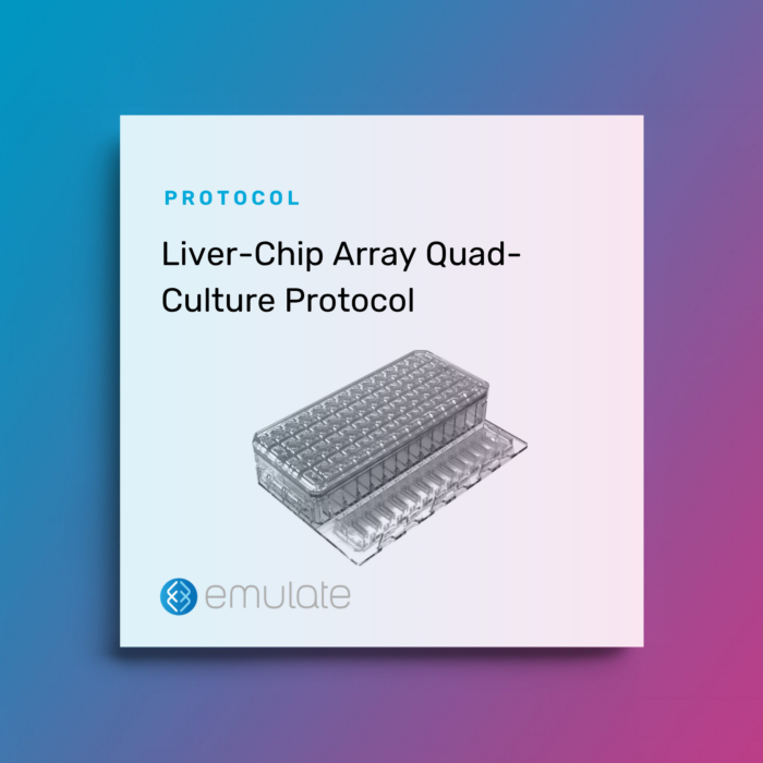 Image for Liver-Chip Array Quad-Culture Protocol